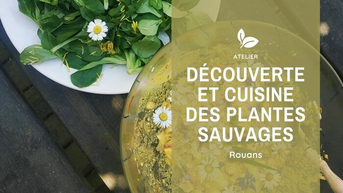 Découverte et cuisine des plantes sauvages 44640 Rouans