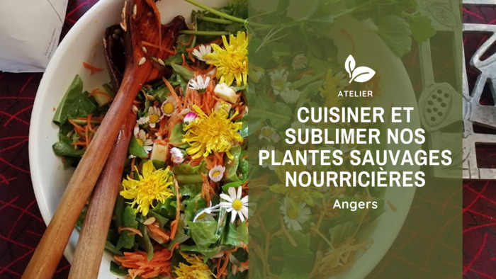 Cuisiner et sublimer nos plantes sauvages nourricières Angers