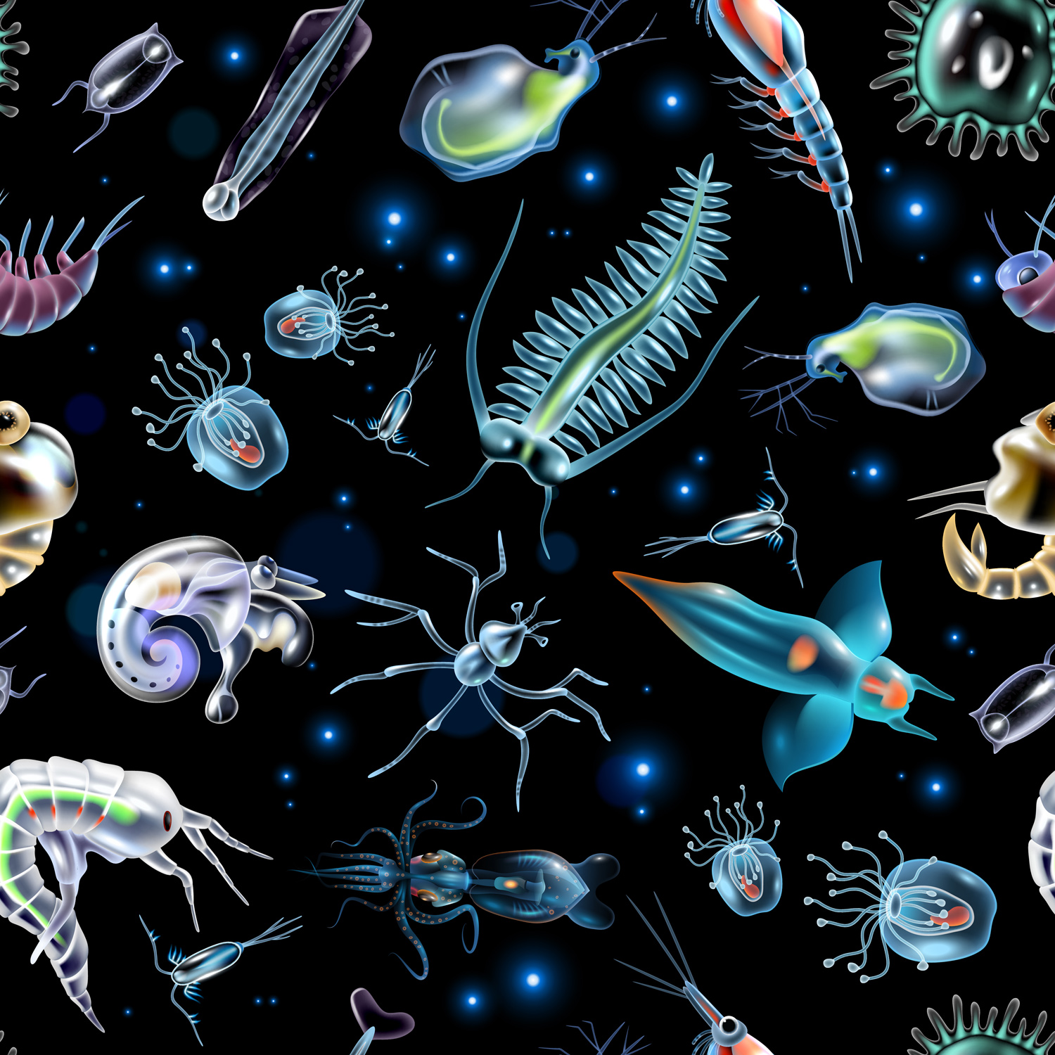 Visite animée de l’exposition "Au cœur du plancton"