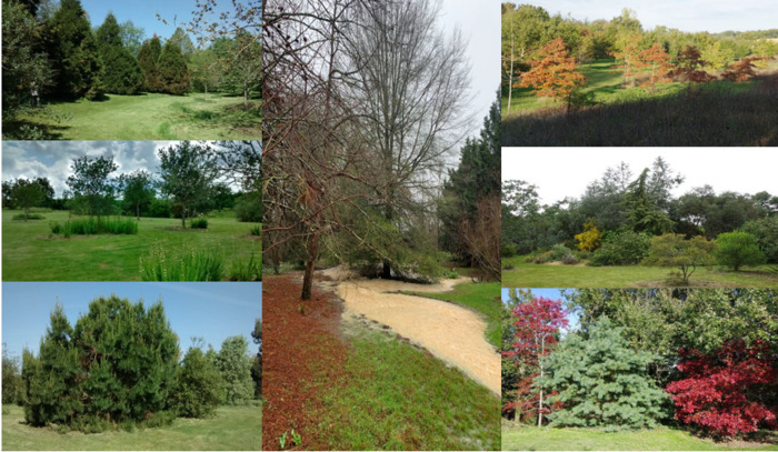 Visite découverte de l'arboretum de la Bergerette Arboretum de la Bergerette Saint-Sardos