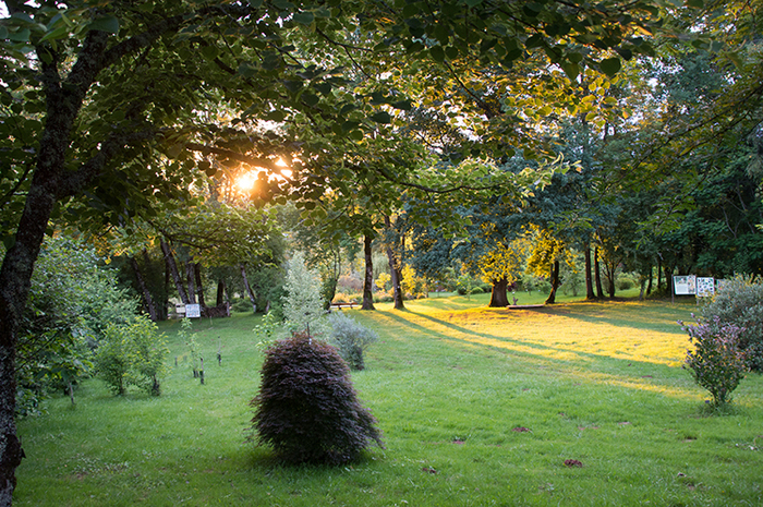 Déambulation dans l'arboretum Arboretum de La Tuillière Ayen