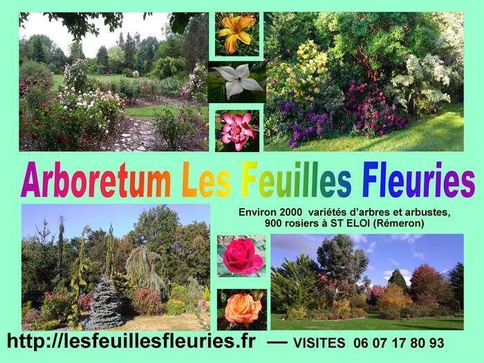 Découverte de l'arboretum « Les feuilles fleuries » Arboretum les Feuilles Fleuries Saint-Eloi