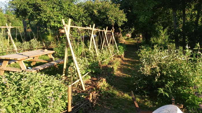 Visite d'un jardin en permaculture Au bistrot du Canal