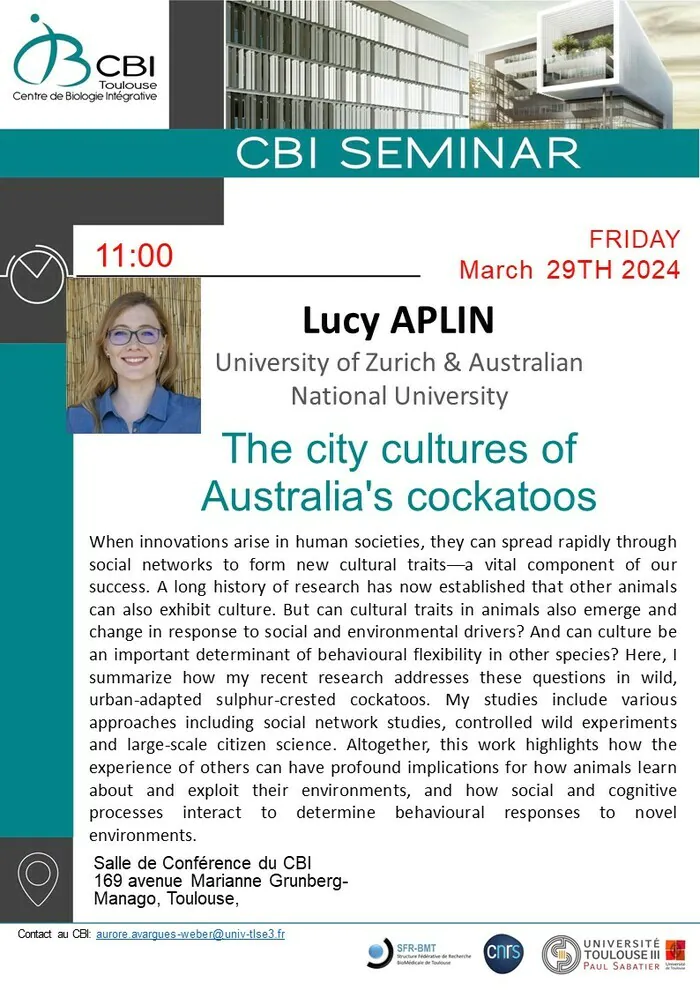 Lucy Aplin (University of Zurich & Australian National University) - The city cultures of Australia's cockatoos CBI Toulouse - Salle de conférence 4R4 Toulouse