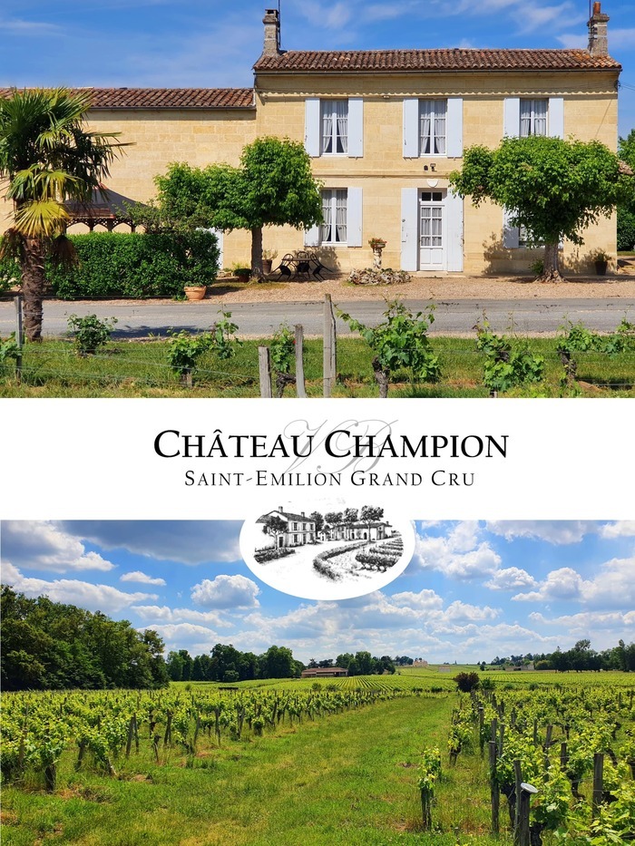 Voyage authentique au cœur du vignoble familial Château Champion Saint-Émilion