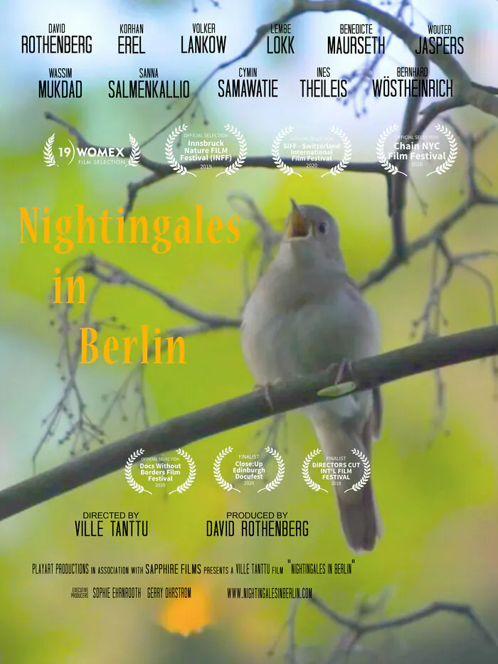 Nightingales in Berlin / Rencontre avec David Rothenberg Cinémas Le Méjan Actes Sud Arles