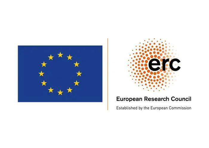 WEBINAIRE - Session d'information ERC Consolidator Grant 2025 En ligne Orsay