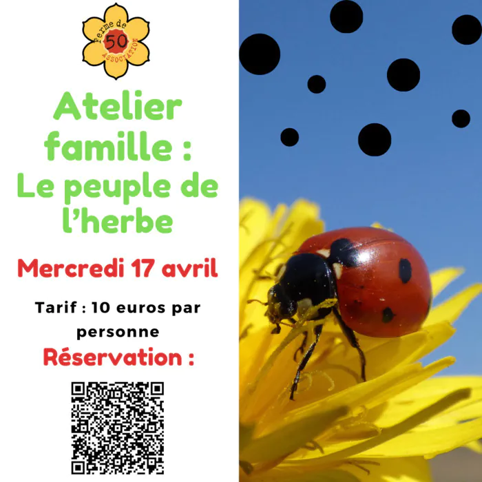 Atelier famille : Le peuple de l'herbe Ferme de 50 Ramonville-Saint-Agne