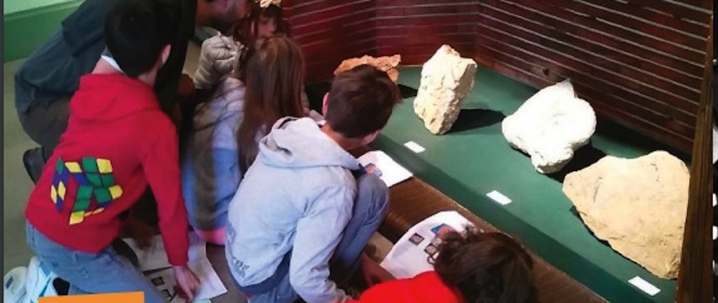 Visite-Enfant "Dino et les Fossiles" Musée d'Histoire de Figeac