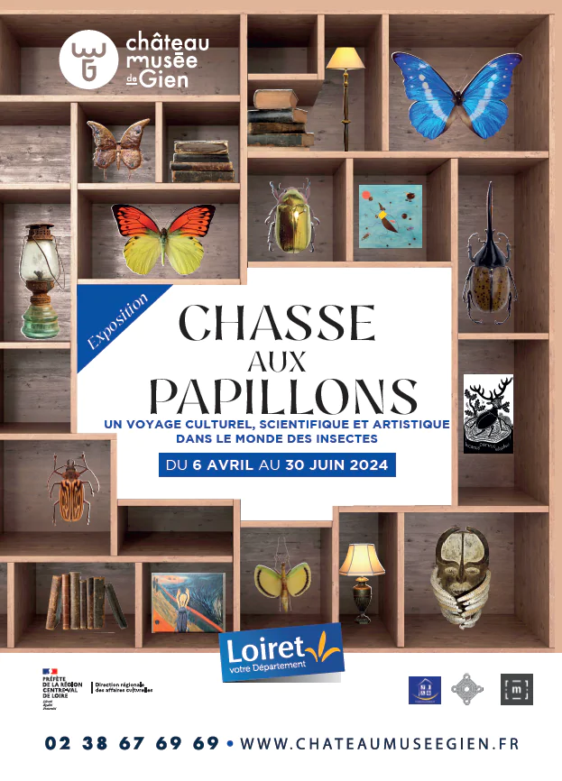 Exposition Chasse aux papillons