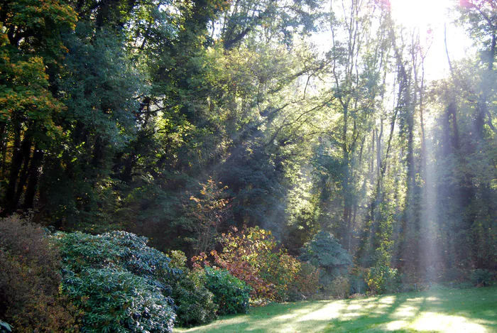 Promenons-nous dans les bois Jardin botanique Jean-Marie Pelt Villers-lès-Nancy