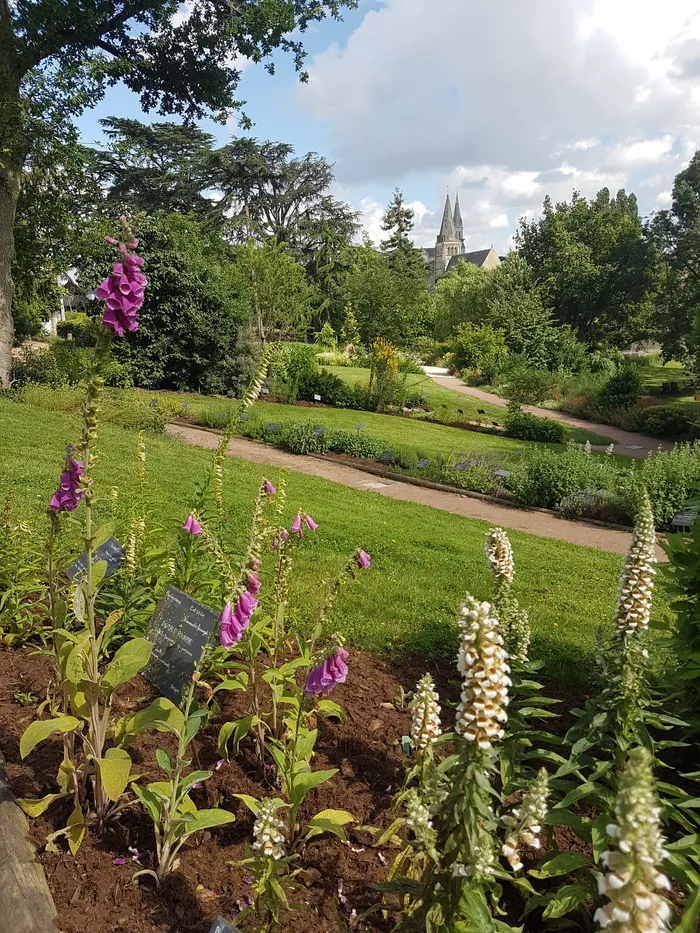 Visite libre du Jardin Camifolia Jardin Camifolia Chemillé-en-Anjou