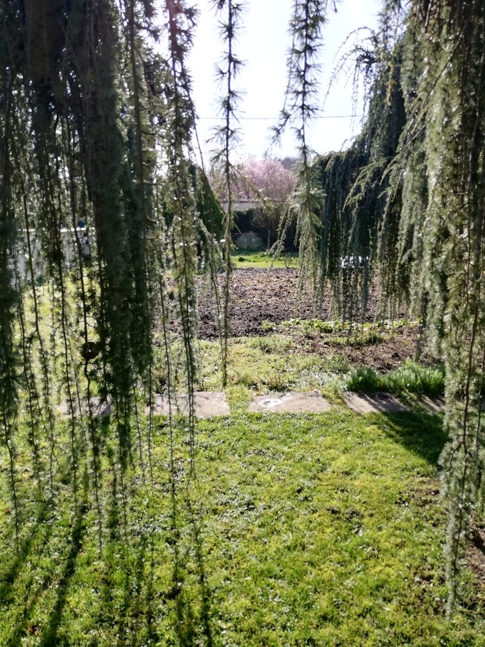 Visite d'un jardin privé Jardin chablisien particulier Chablis