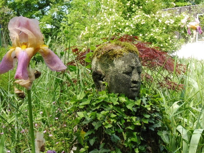 Visite découverte des Jardins de la Falaise Jardin de La Falaise Bouglon