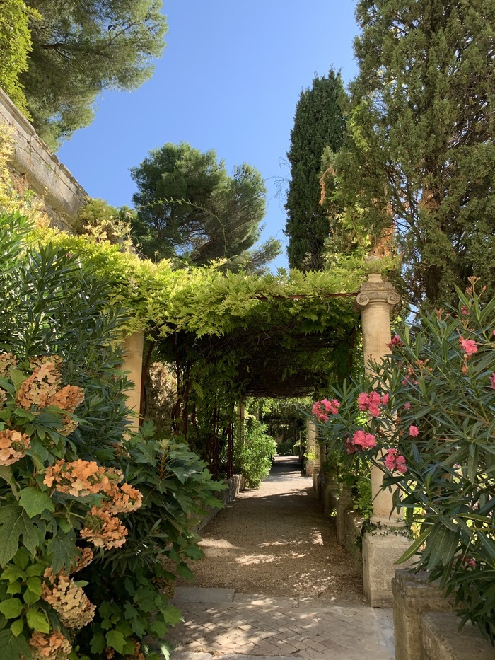 Visite libre des jardins de l'abbaye Saint-André Jardin de l’ancienne abbaye Saint-André Villeneuve-lès-Avignon