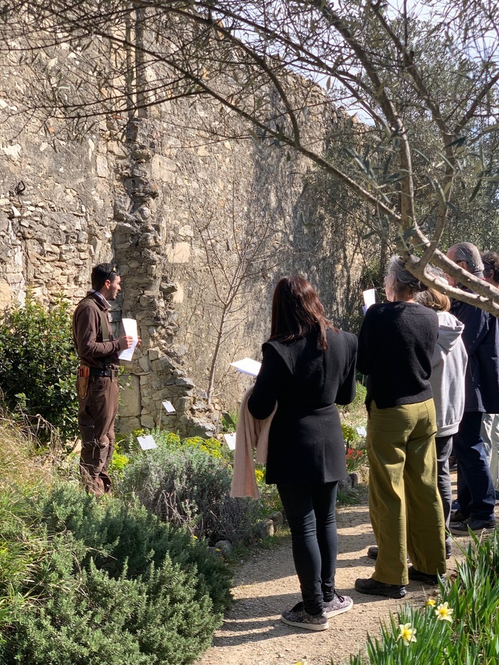 Visite botanique des jardins avec notre jardinier Jardin de l’ancienne abbaye Saint-André Villeneuve-lès-Avignon