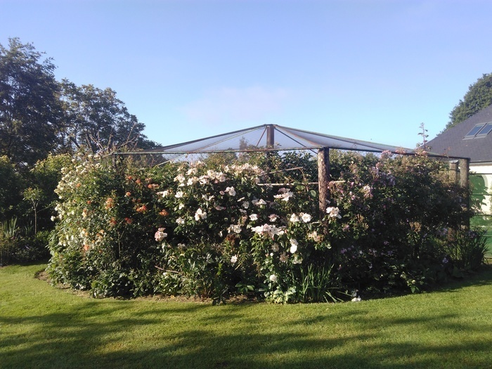 Jardin de Rollon à Ernée - Visites guidées d'un jardin paysager de 3500 m² Jardin de Rollon Ernée