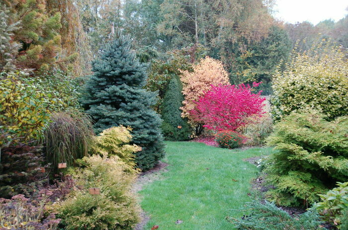 Visite libre ou guidée du jardin du Livon Jardin du Livon Longueville-sur-Aube