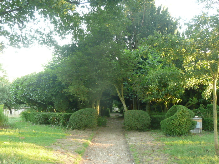 Visite commentée du Jardin du Ruchot Jardin du Ruchot Jouars-Pontchartrain