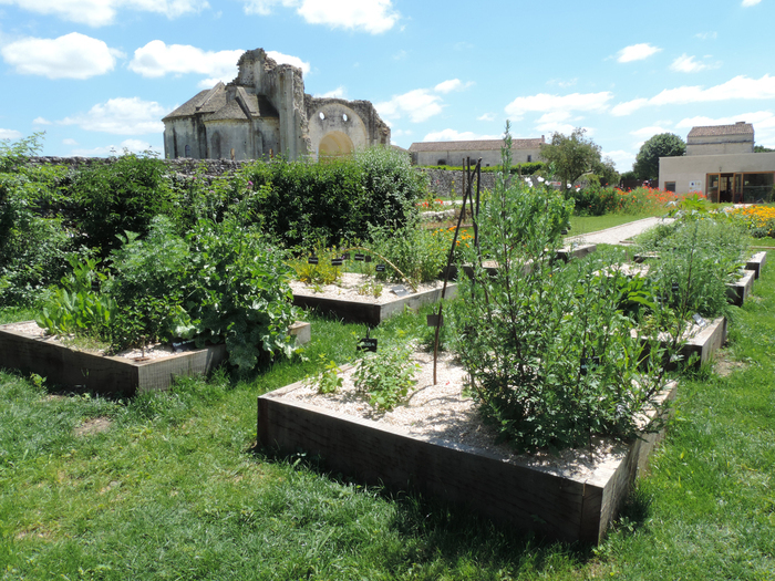 Visite sensorielle du jardin médiéval Jardin médiéval de l'abbaye de Trizay Trizay