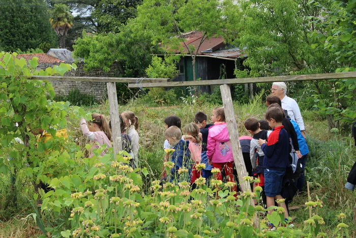 Visite découverte des jardins familiaux de la Société d'horticulture