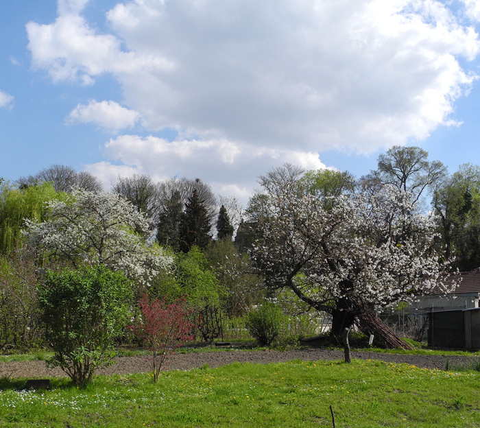 Visite découverte des jardins potagers de l'Hermitage Jardins potagers de l'Hermitage Pontoise