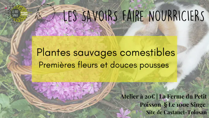 Atelier : Plantes sauvages comestibles Le 100e Singe Castanet-Tolosan