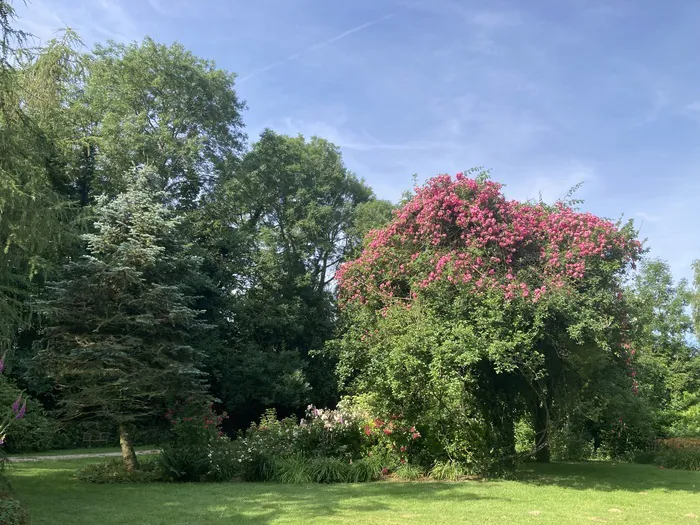 Visite guidée : les cinq sens au jardin Le Clos de Chanchore Fresne-Cauverville
