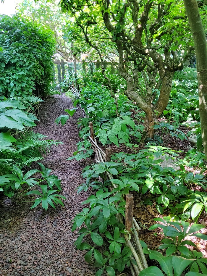 Visite d'un jardin de charme composé d'atmosphères différentes où faire le plein d'idées de décoration et de plantations Le jardin de l'Aridaine La Forêt-le-Roi