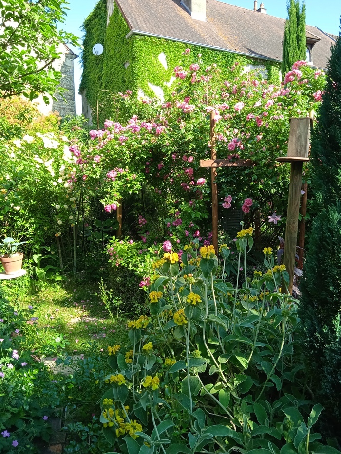 Venez découvrir le jardin du 7 Le jardin du 7 Mirebeau-sur-Bèze