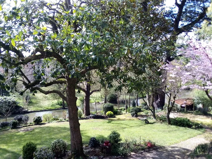 Visite commentée d'un jardin du XIXème siècle au pied des remparts de Montaigu en Vendée