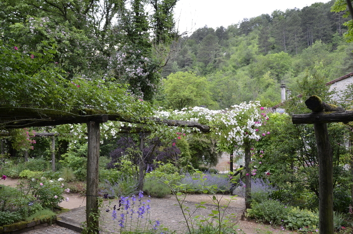 Découverte des jardins de mon moulin labellisés "Jardin remarquable" Les jardins de mon Moulin Thonnance-lès-Joinville