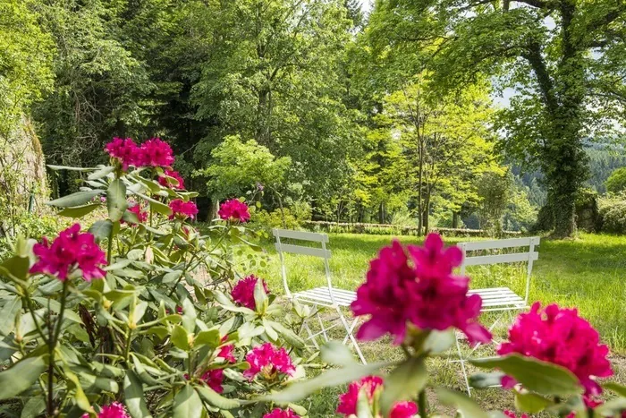 Visite du parc et des jardins du château de Figon - Ensemble Arboré Remarquable Les jardins et le parc de Figon Raucoules