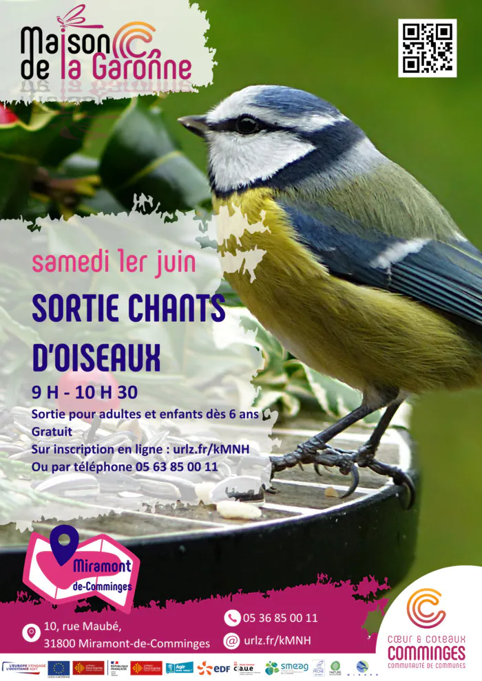 Sortie nature "chants d'oiseaux" Maison de la Garonne Miramont-de-Comminges