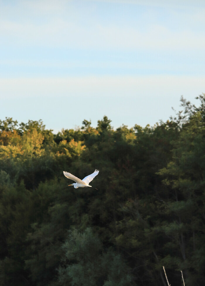 Sur la route des oiseaux migrateurs Maison de la Réserve naturelle régionale du Grand-Voyeux Congis-sur-Thérouanne