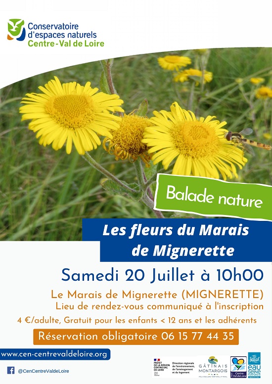 Balade nature "Les Fleurs du Marais de Mignerette"
