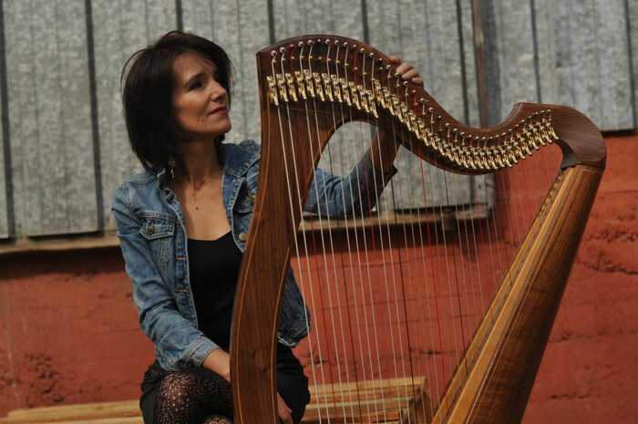Concert de harpe celtique Musée archéologique du Val d'Oise Guiry-en-Vexin