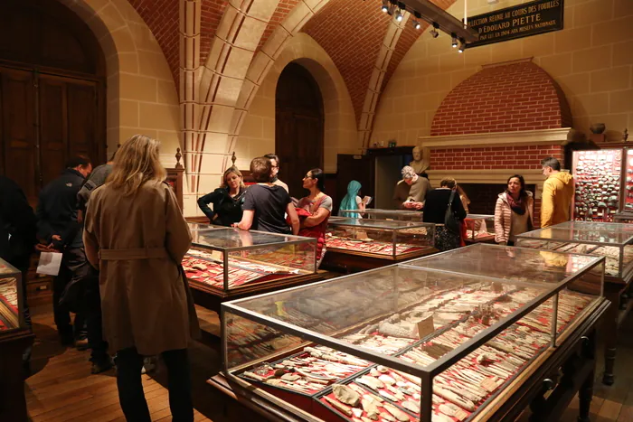 Visite de la salle Piette Musée d'archéologie nationale et domaine national de Saint-Germain-en-Laye Saint-Germain-en-Laye