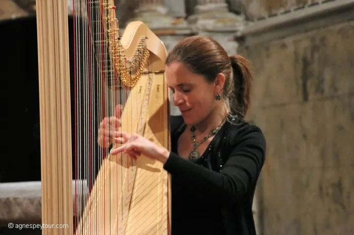 Concert de la harpiste Agnès Peytour Musée de Bibracte Saint-Léger-sous-Beuvray
