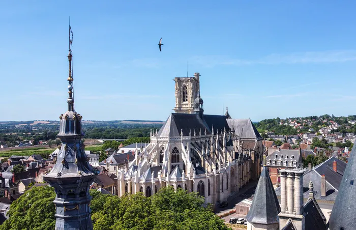 Visite guidée - La cathédrale de bas en haut Musée de la Faïence et des Beaux - Arts Fréderic Blandin Nevers