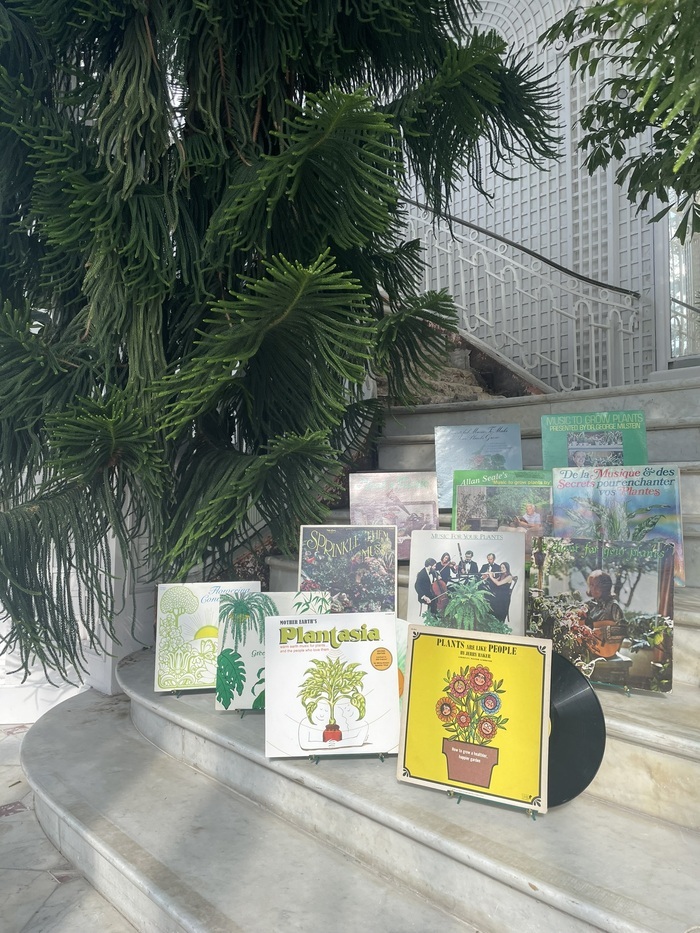 Développement personnel pour plantes d'intérieur Musée départemental Albert-Kahn Boulogne-Billancourt