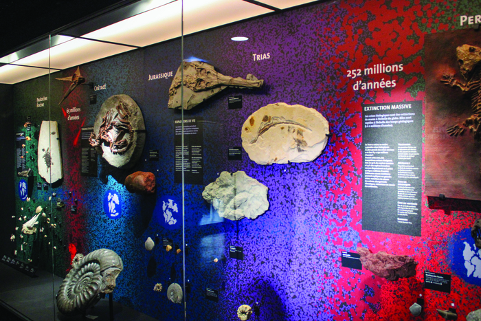 ATELIER JEUNE PUBLIC / Dans la peau d'un géologue (7-10 ans) Muséum d'Orléans pour la Biodiversité et l'Environnement (MOBE) Orléans
