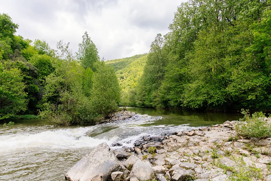 Lâchers de truites Rivière Aveyron à Najac