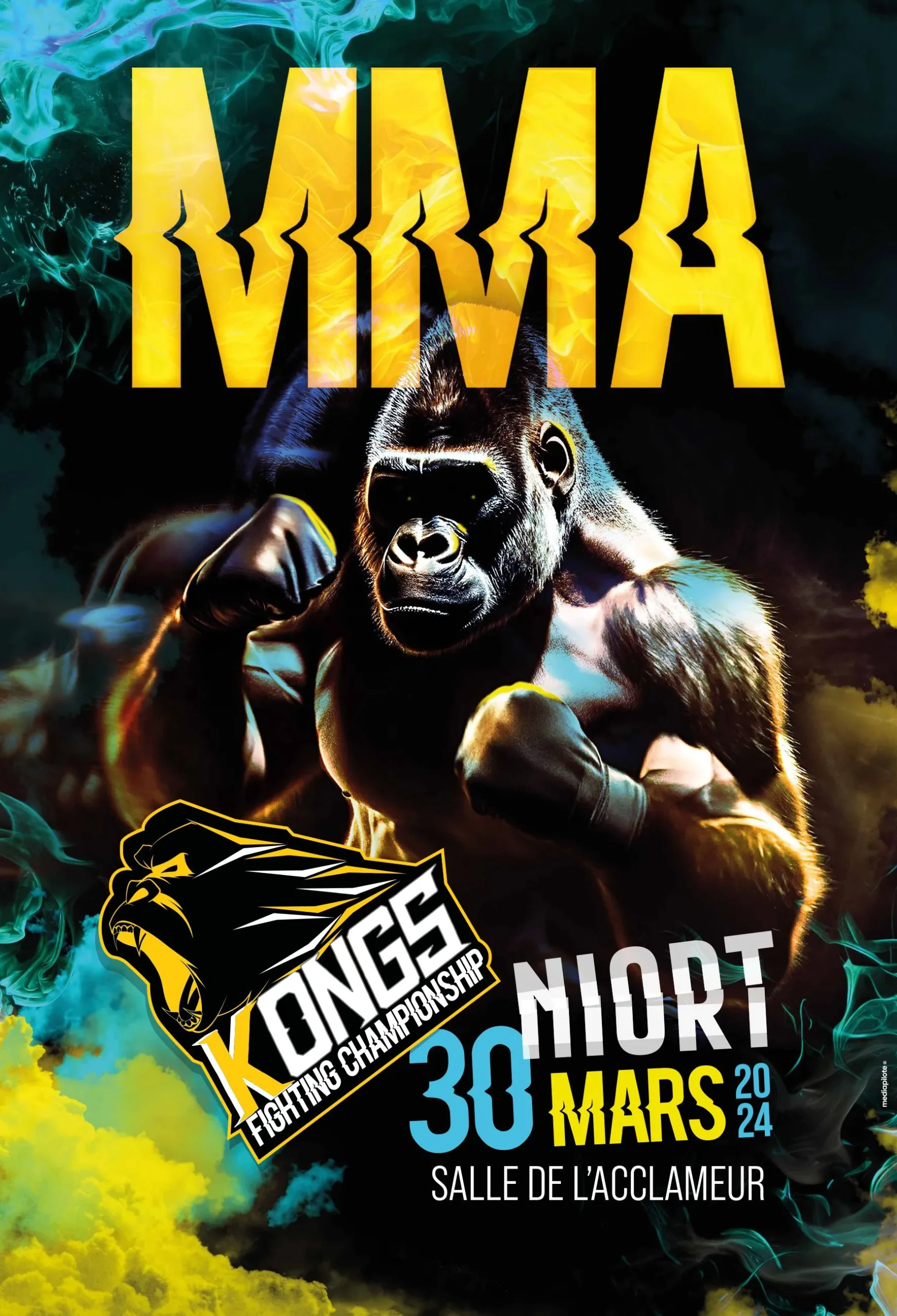 Kongs Fighting Championship MMA à Niort