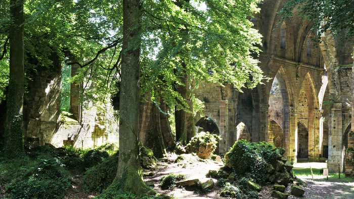 Visite de l'Abbaye de Trois-Fontaines Parc de l'Abbaye de Trois-Fontaines Trois-Fontaines-l'Abbaye