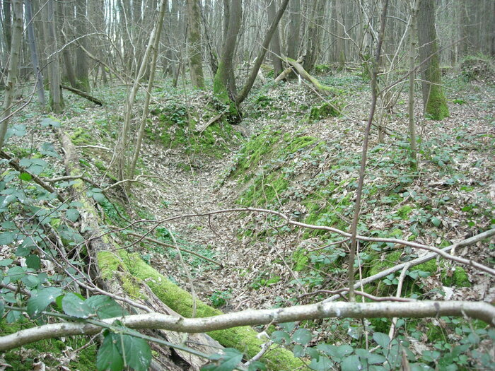 Sur les traces de la Grande Guerre en Forêt régionale de Montgé Parking du Haras du Sauvoy Saint-Soupplets