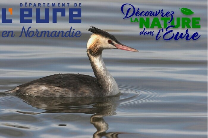 ACQUIGNY / 27 : promenade ornithologique GONm avec Découvrez la nature dans l'Eure Parking du lac de l'Onglais Acquigny