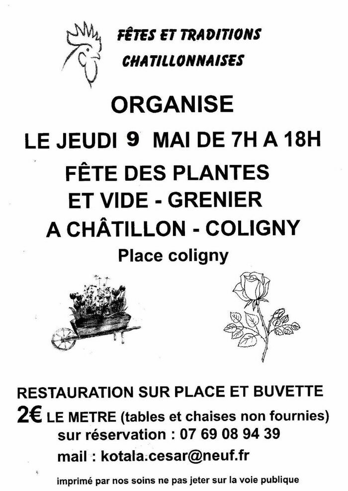 Fête des plantes et vide-greniers Place Coligny Chatillon-coligny