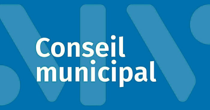 Conseil municipal de Montaigu-Vendée - Juillet 2024 Place de l'Hôtel de Ville Montaigu