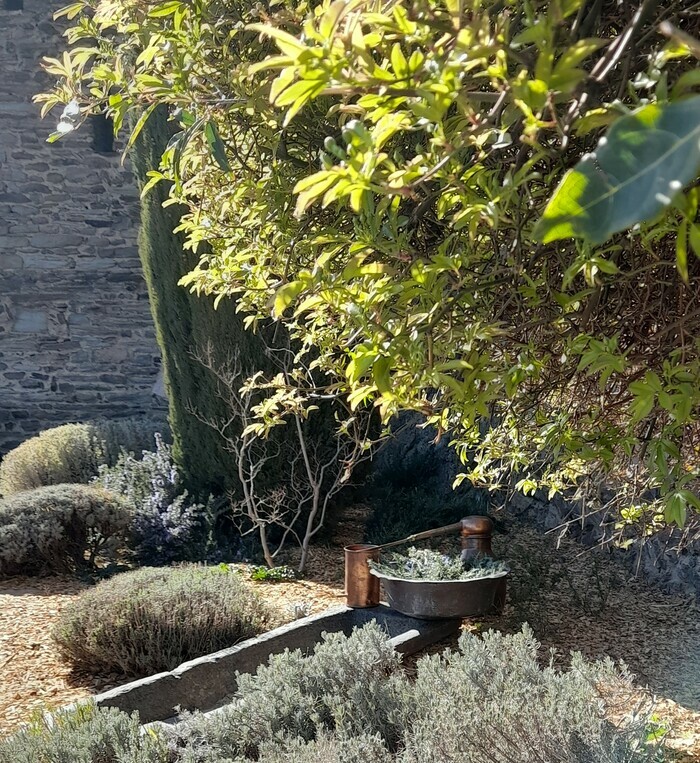 Distillation d'eau florale des plantes cultivées au prieuré Prieuré de Serrabona Boule-d'Amont